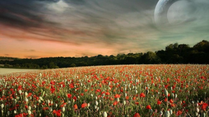 超小团队选择Django还是Flask？